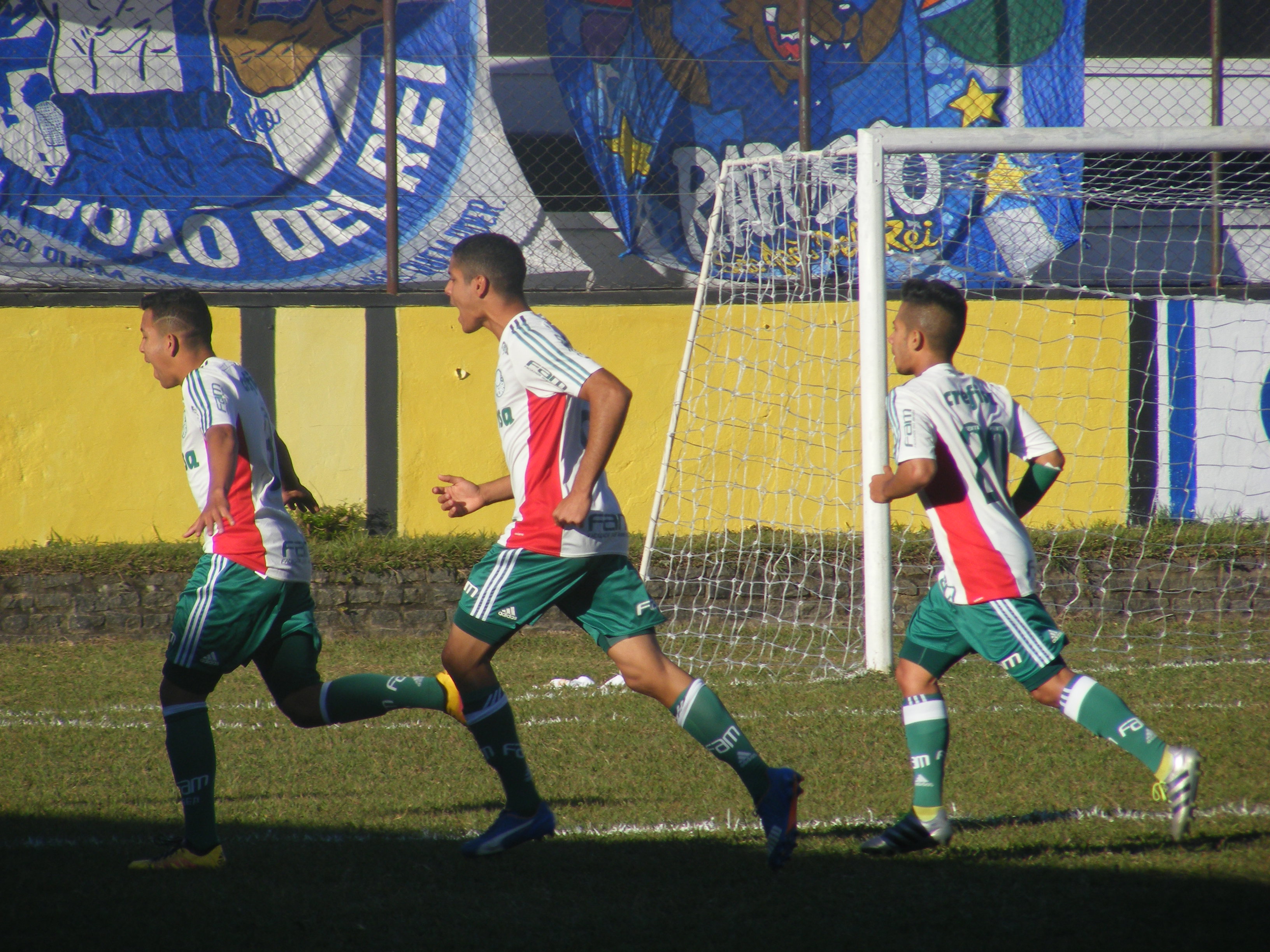 Jogadores do Palmeiras comemoram o primeiro gol do time. FOTO/VAN: Anna Virginia 