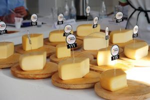 Ao todo, foram 27 concorrentes que fazem parte de uma das sete regiões que produzem o queijo artesanal no estado. FOTO: Divulgação/Emater