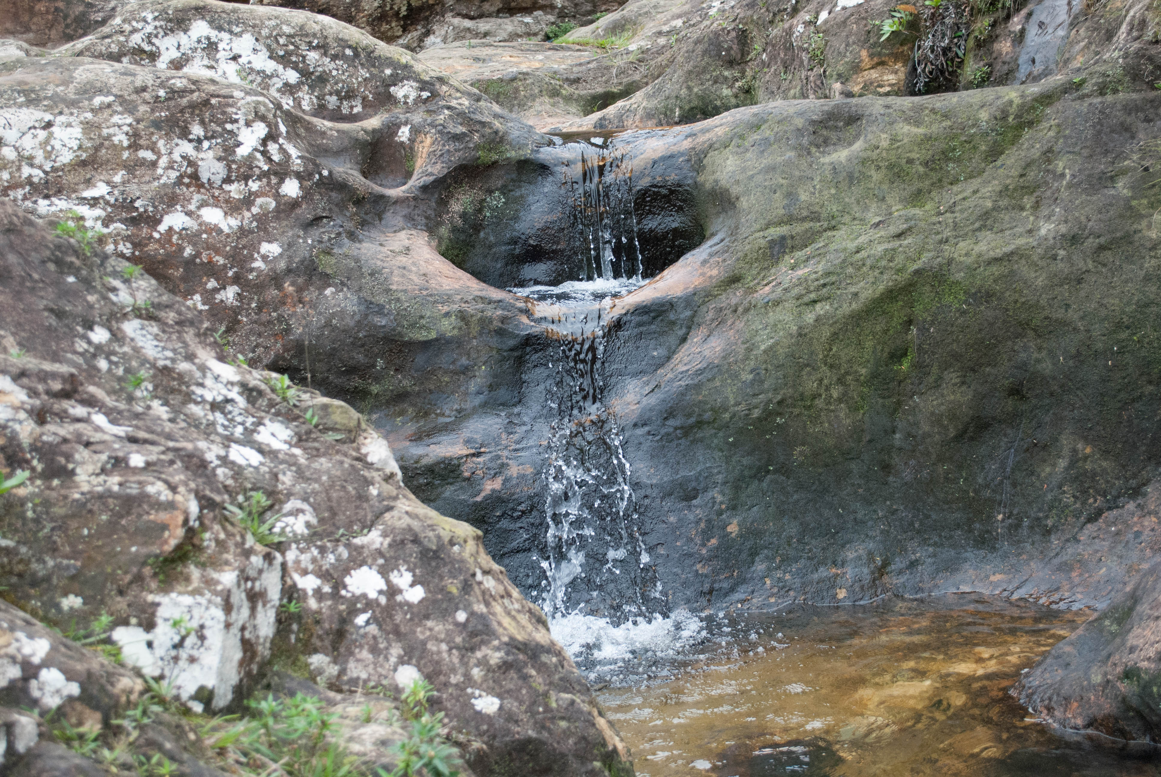 A água da cachoeira, apesar dos alimentos encontrados em alguns pontos, está limpa em sua maioria. Foto_ Victor Zanola.jpg