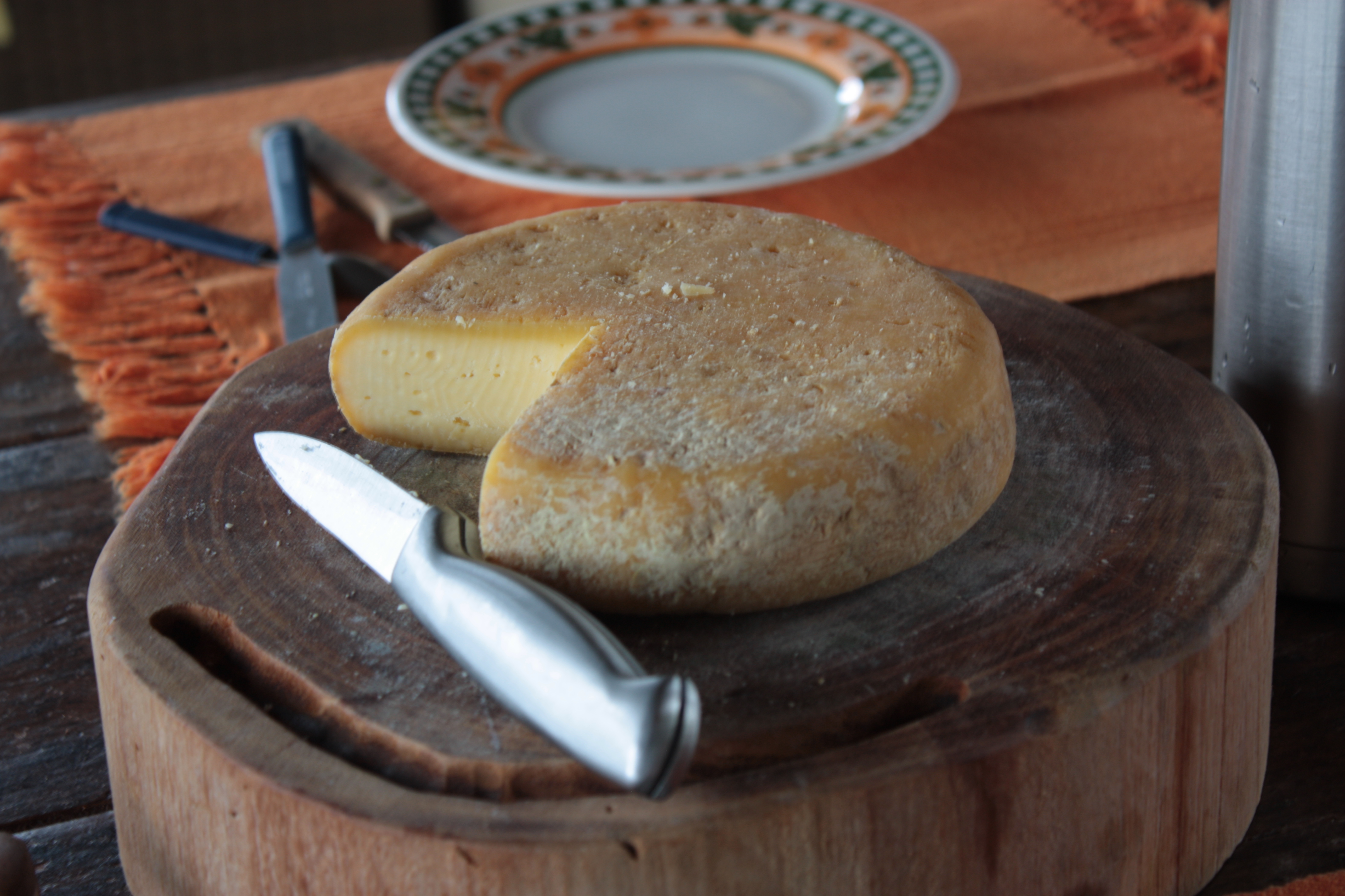 Projeto de lei pode fortalecer a produção de queijo minas artesanal