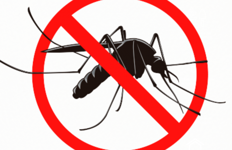 Incidência de casos de dengue e chikungunya mantém-se no mês de junho em São João del-Rei