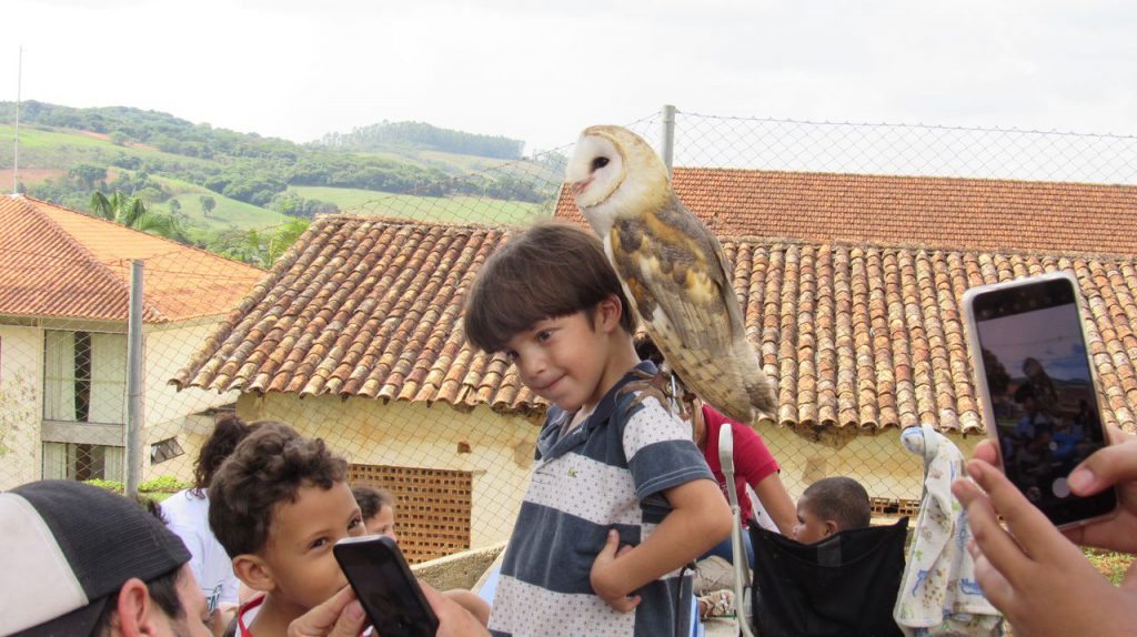 Foi possível tirar fotos segurando a coruja com auxílio de um universitário de Zootecnia - Foto: Ana Julia Barbosa/VAN