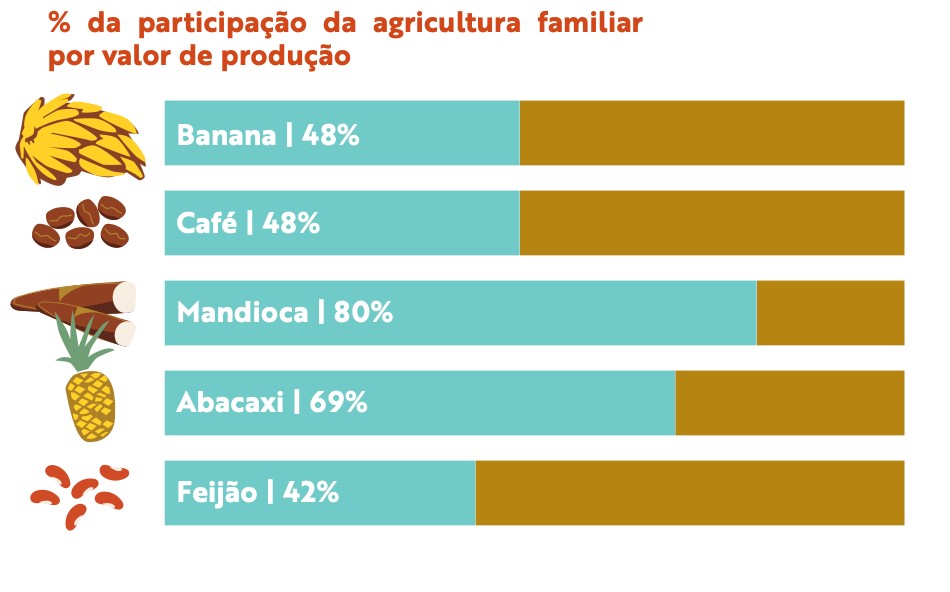 Gráfico ilustrativo acerca do Censo Agropecuário do IBGE de 2017.